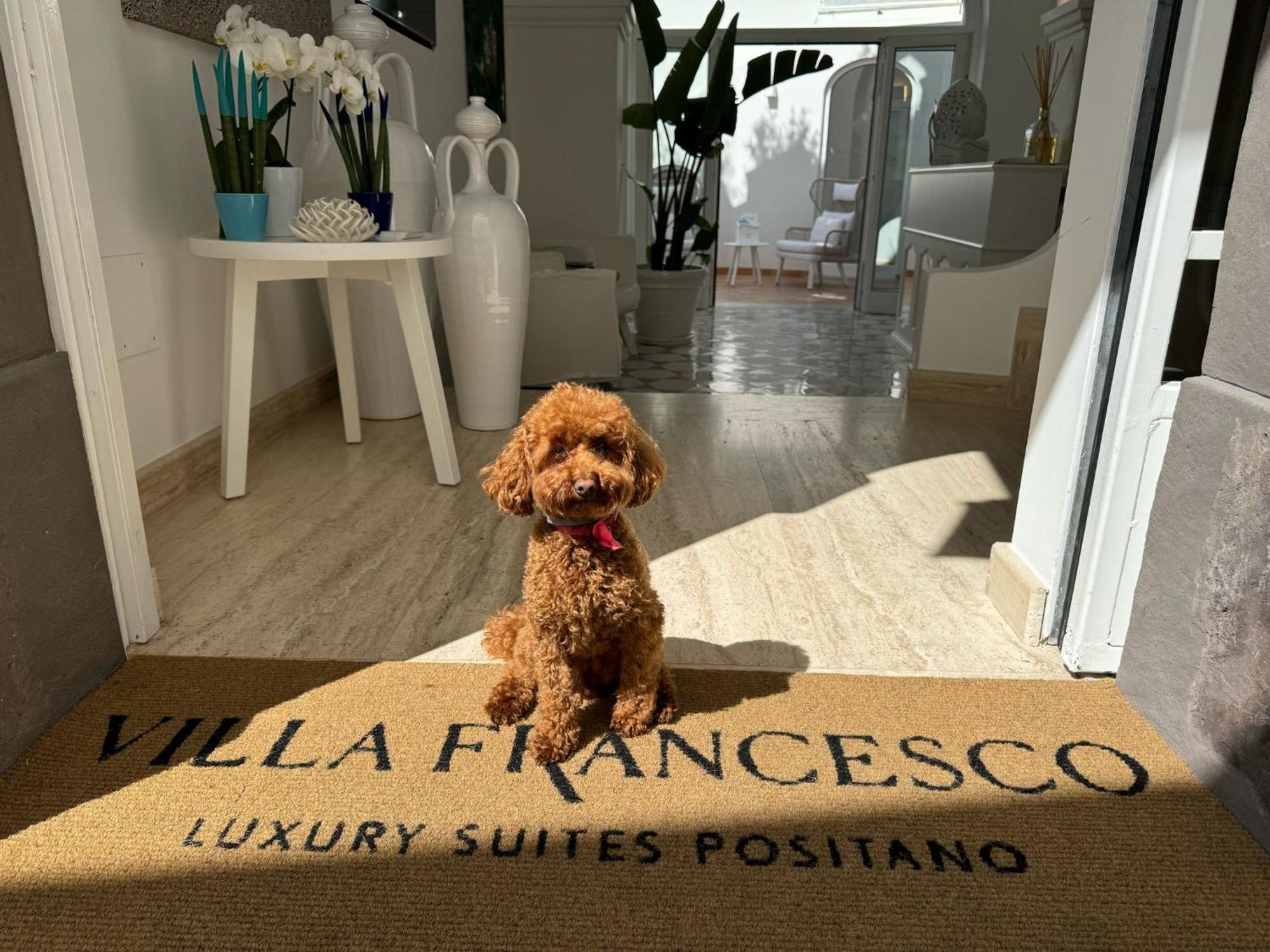 Guest house Francesco Luxury *